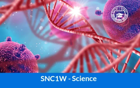 Science - SNC1W-min