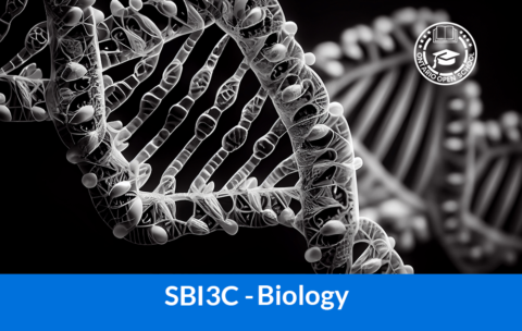 SBI3C -Biology